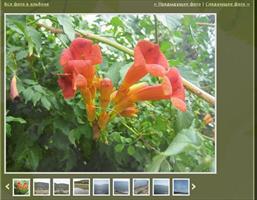 Web2.0 фото-скроллер для просмотра фотографий на вашем сайте визитке